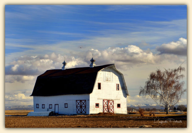 Barn